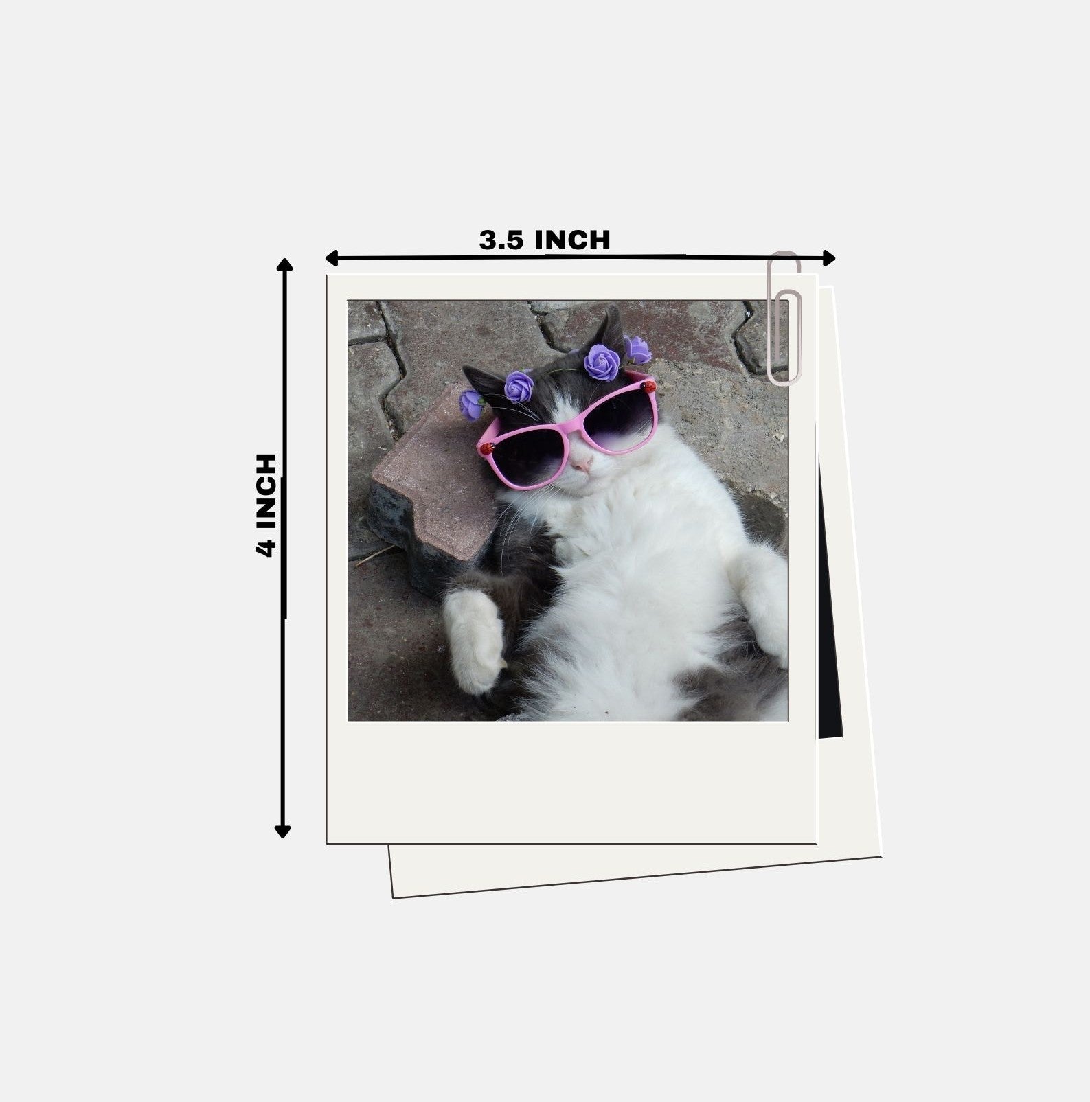 Polaroids (Glossy Finish)